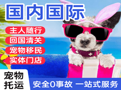 陇南空运国际宠物托运 【国